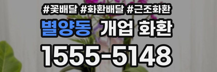 별양동 개업 화환