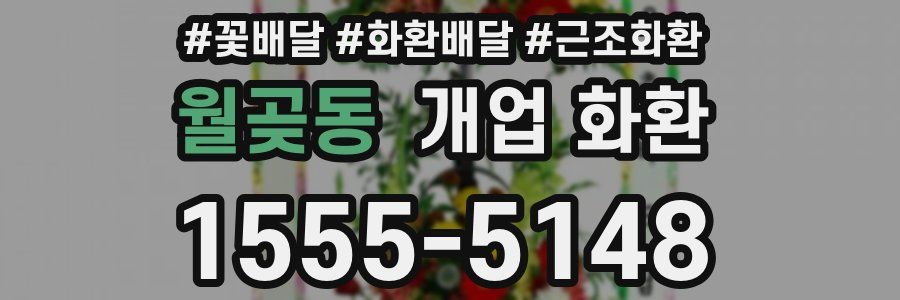 월곶동 개업 화환