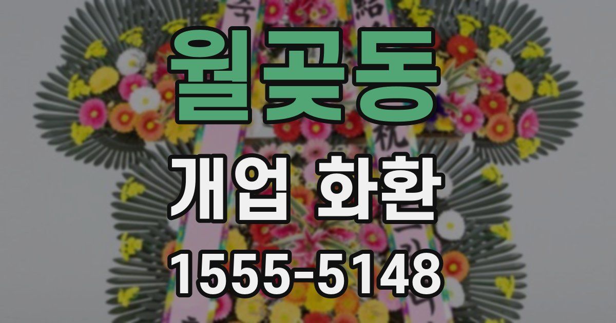 월곶동 개업 화환