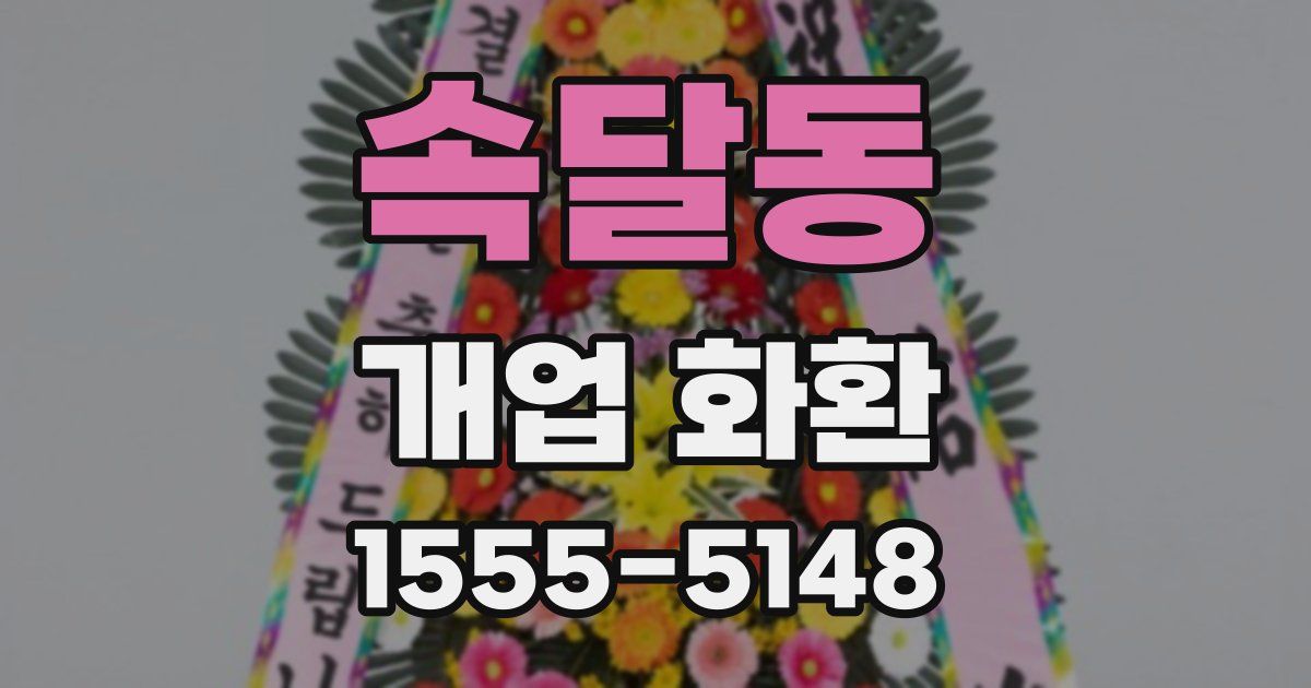 속달동 개업 화환