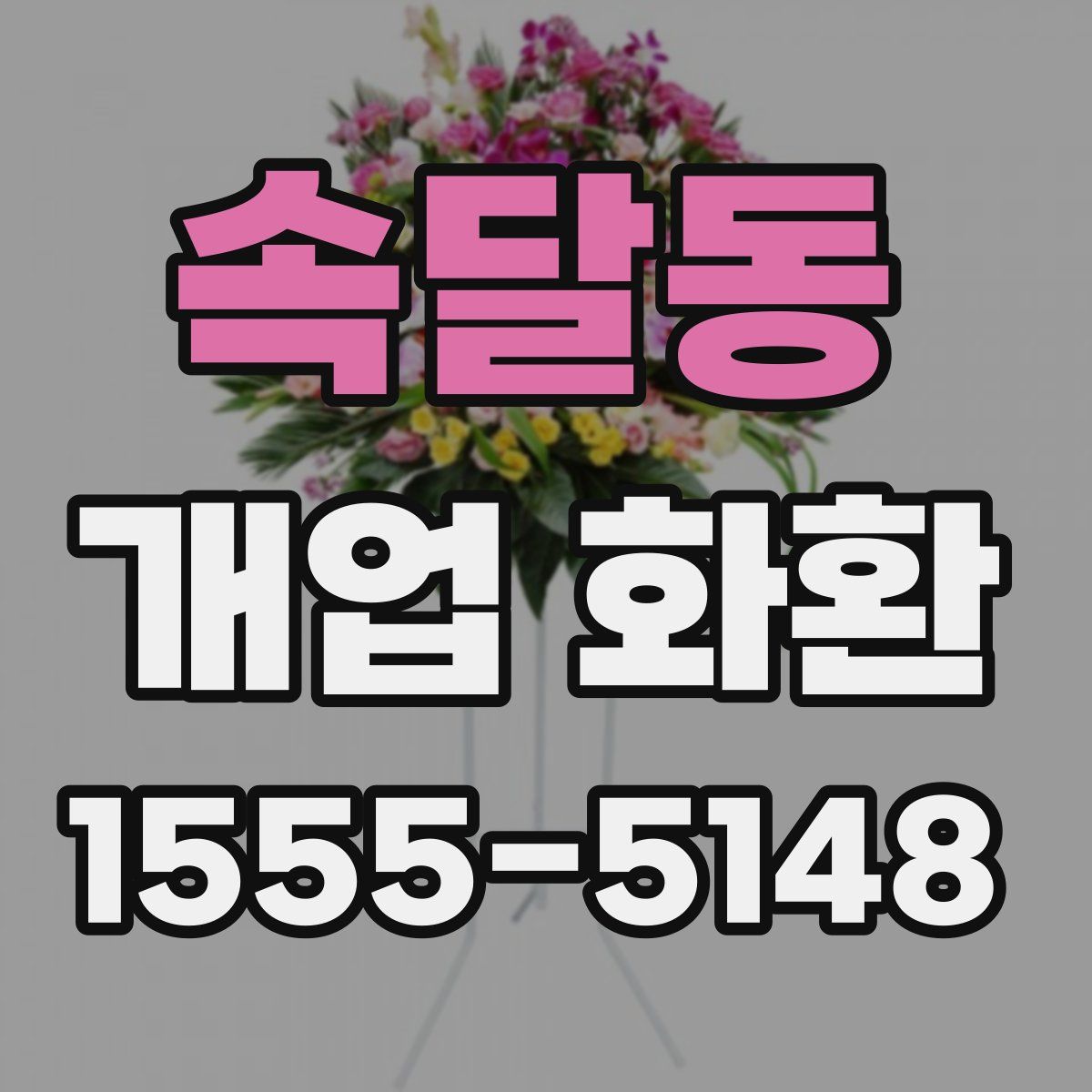 속달동 개업 화환