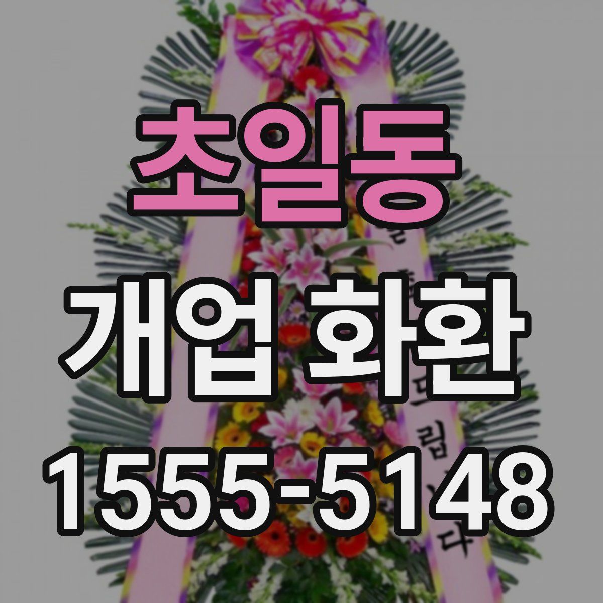 초일동 개업 화환