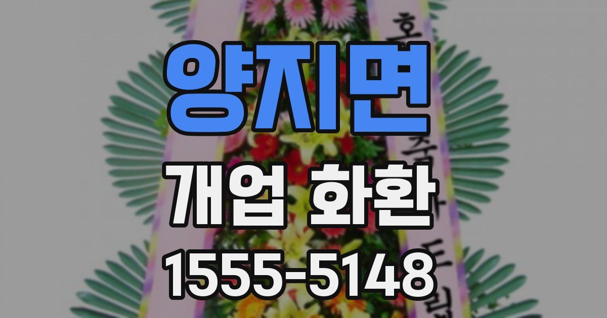양지면 개업 화환