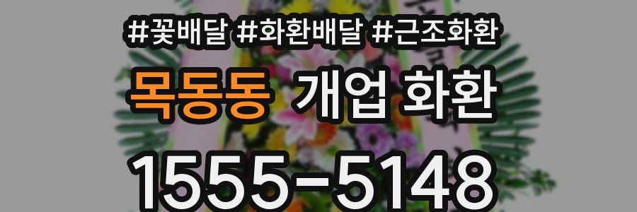 목동동 개업 화환