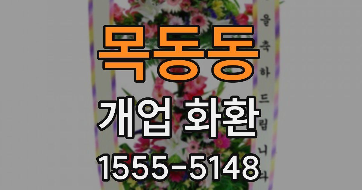 목동동 개업 화환