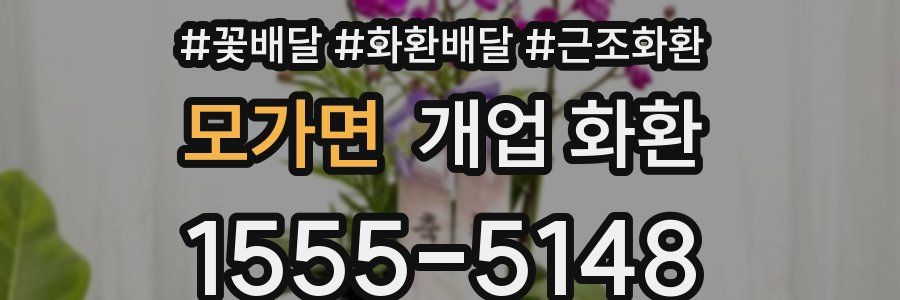 모가면 개업 화환