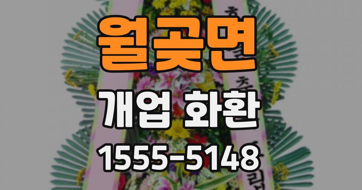 월곶면 개업 화환