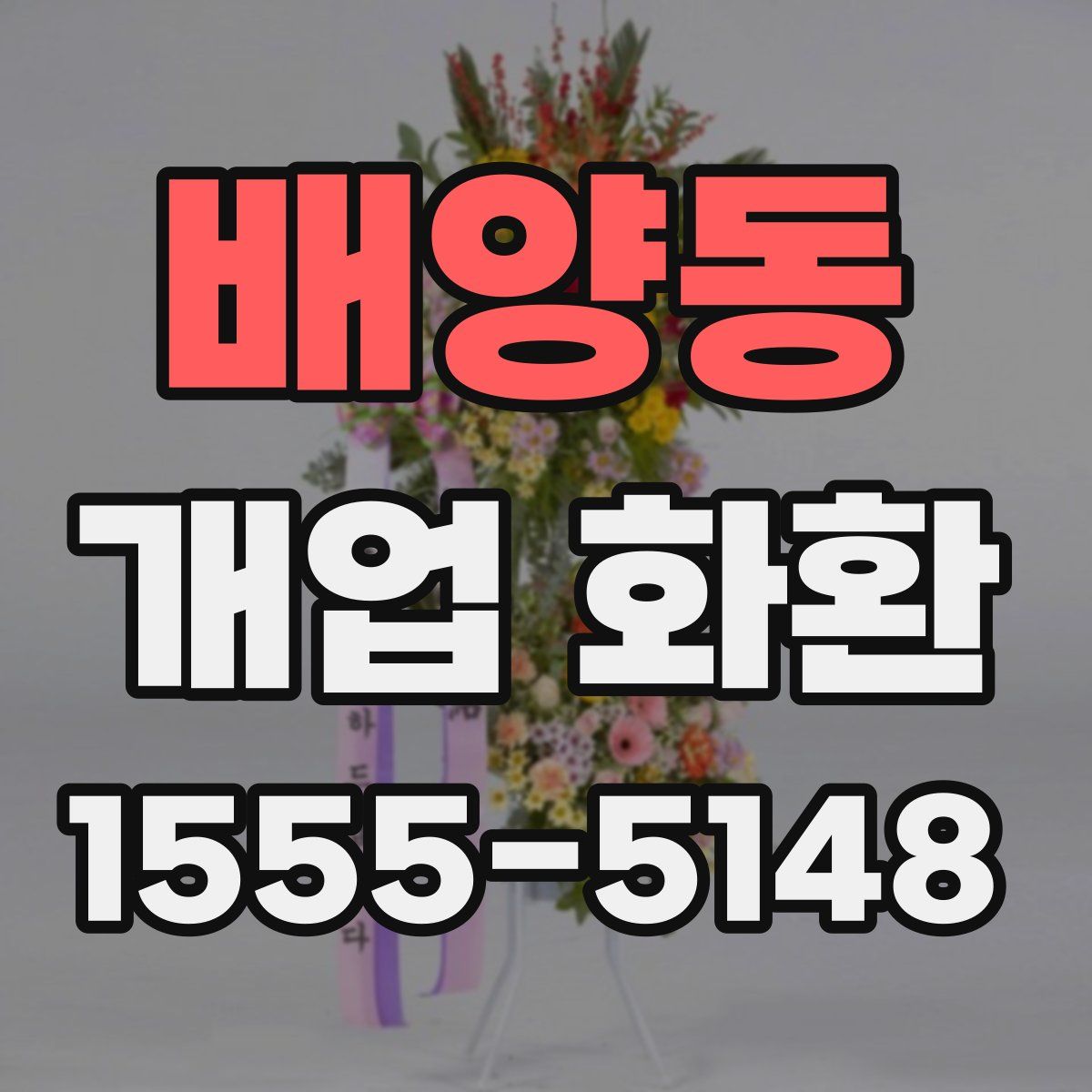 배양동 개업 화환