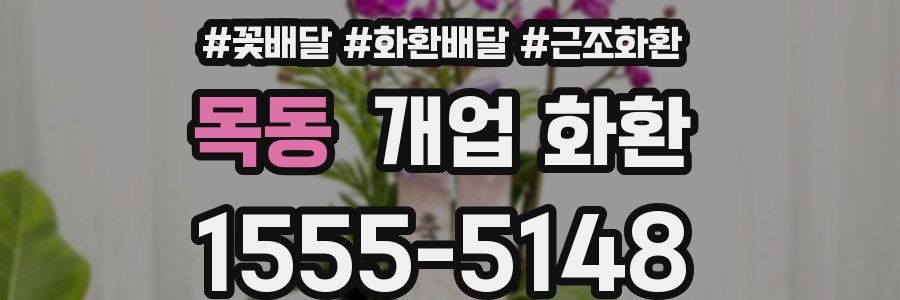 목동 개업 화환