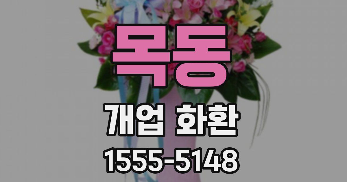 목동 개업 화환