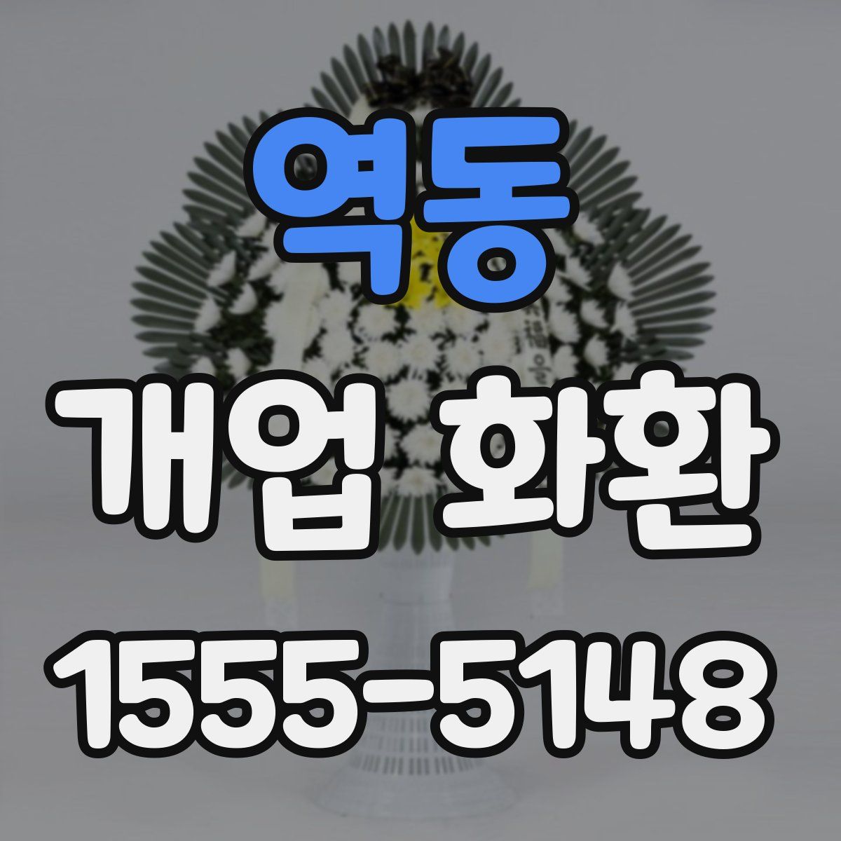 역동 개업 화환
