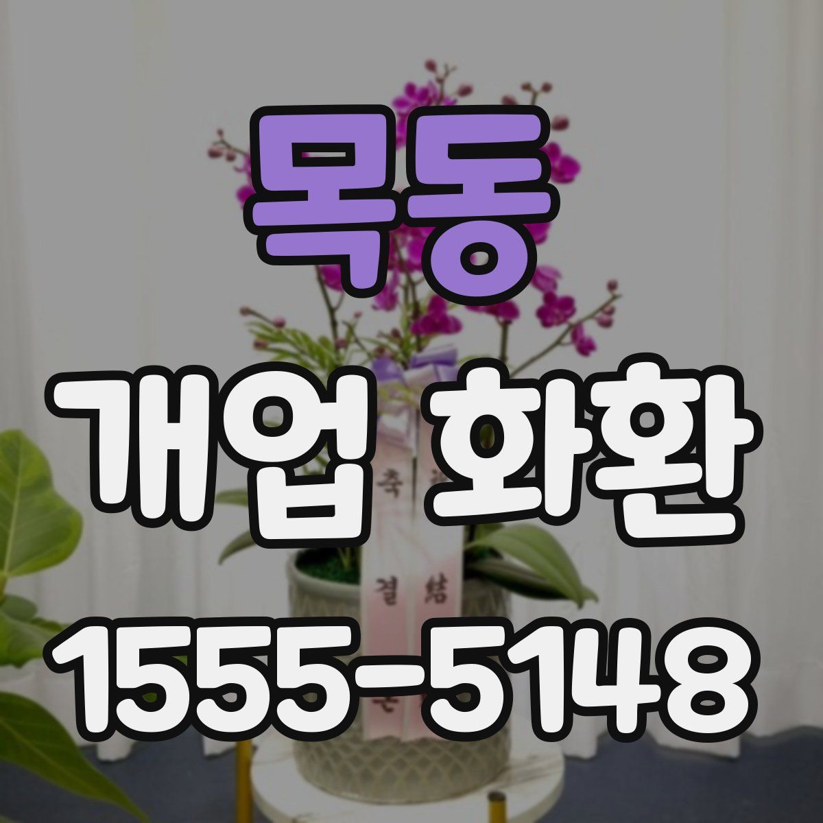 목동 개업 화환