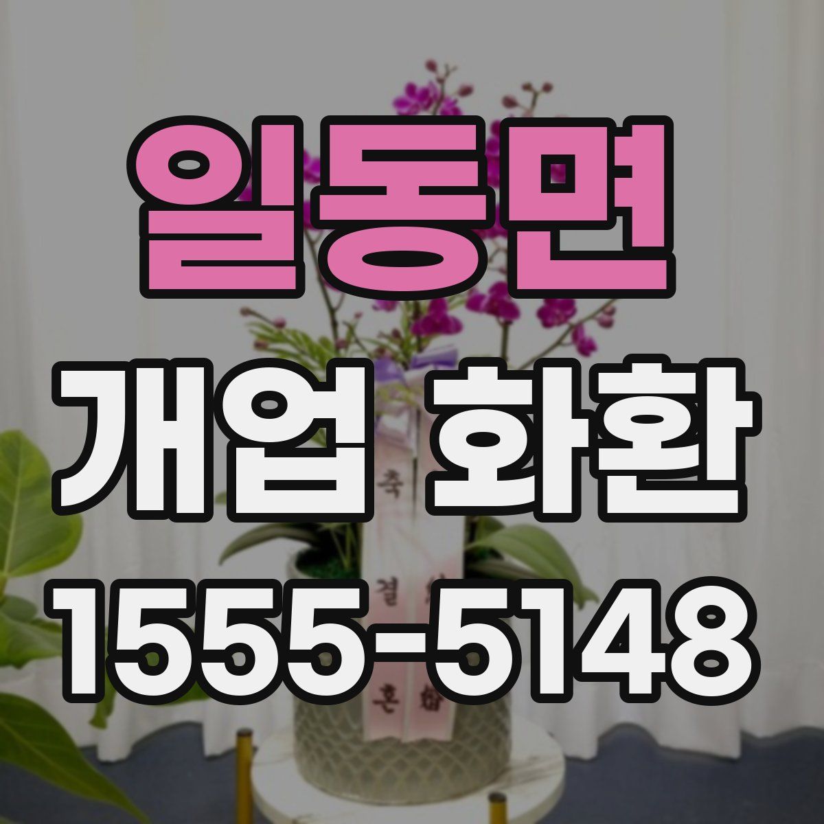 일동면 개업 화환