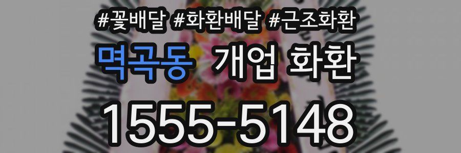멱곡동 개업 화환
