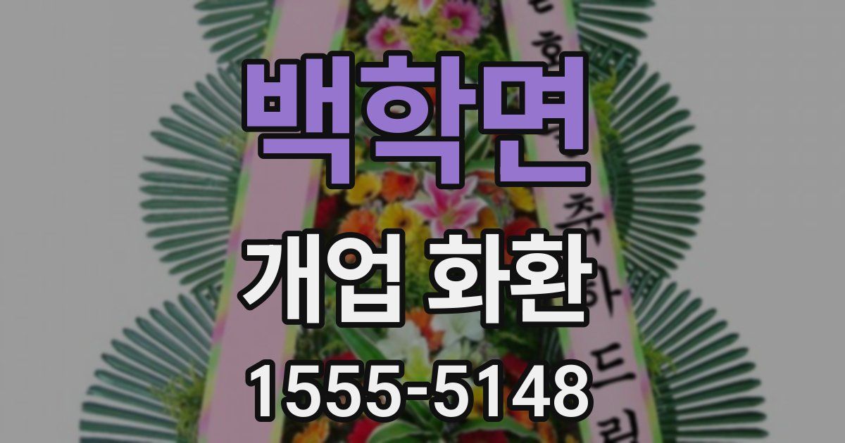백학면 개업 화환