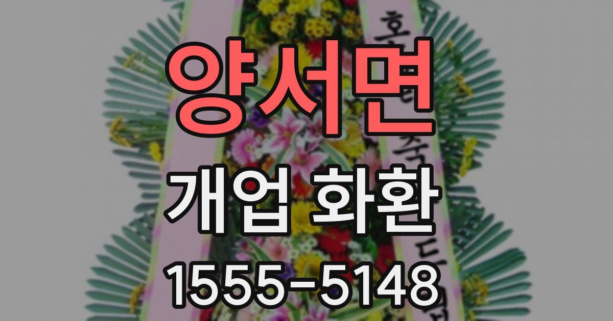 양서면 개업 화환