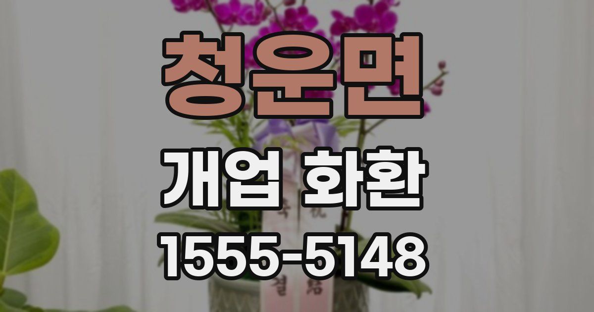 청운면 개업 화환