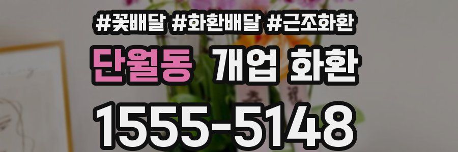 단월동 개업 화환