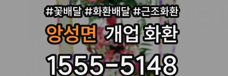 앙성면 개업 화환