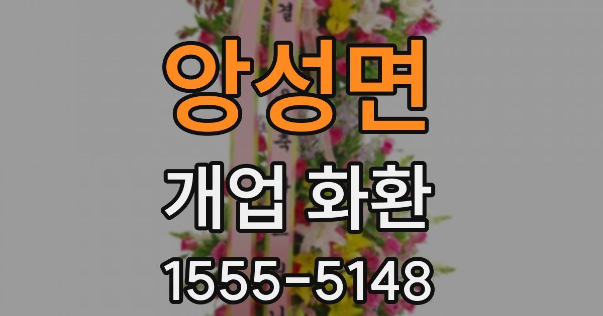 앙성면 개업 화환