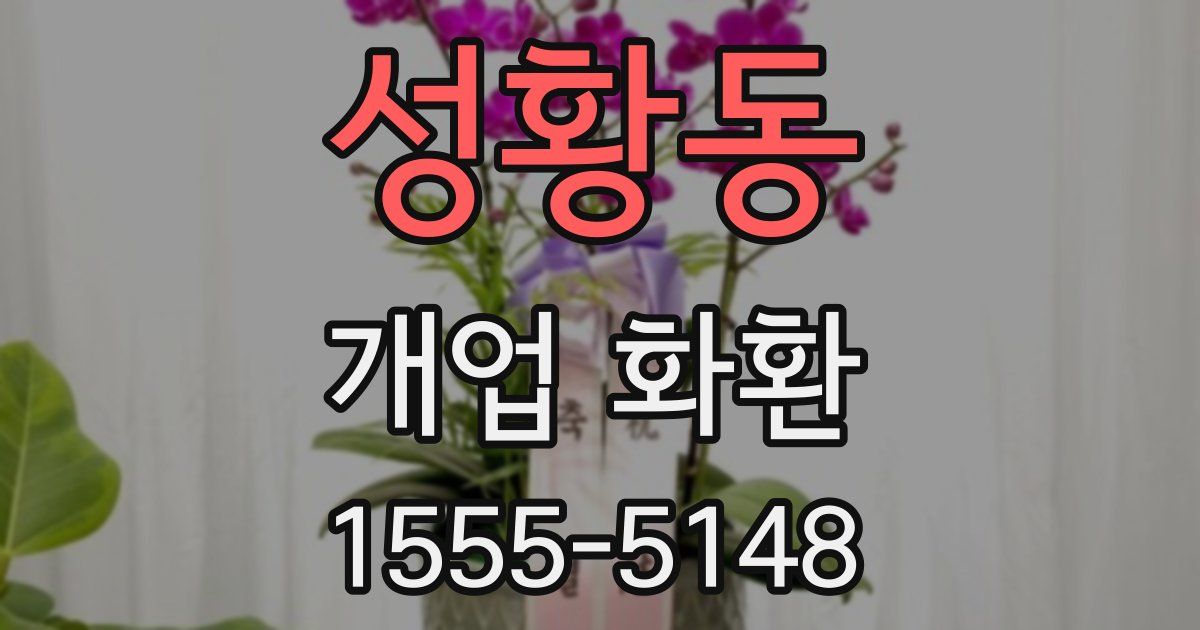 성황동 개업 화환