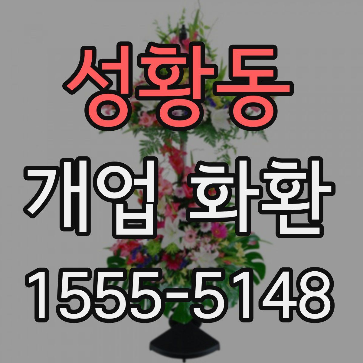 성황동 개업 화환