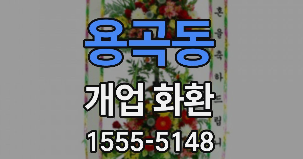 용곡동 개업 화환
