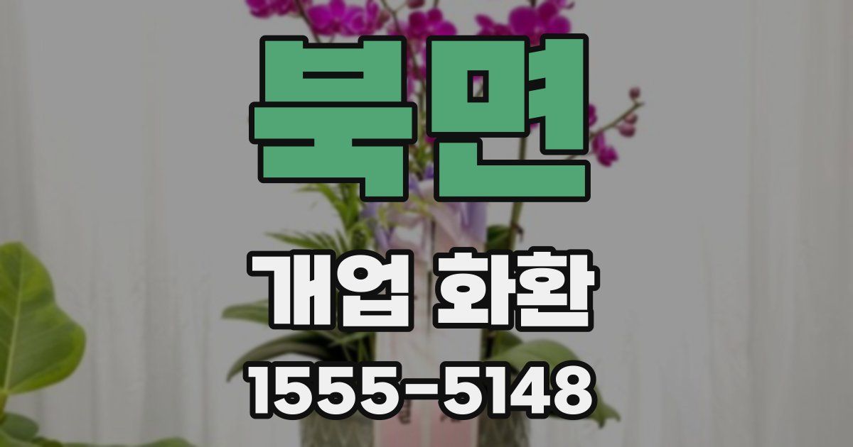 북면 개업 화환