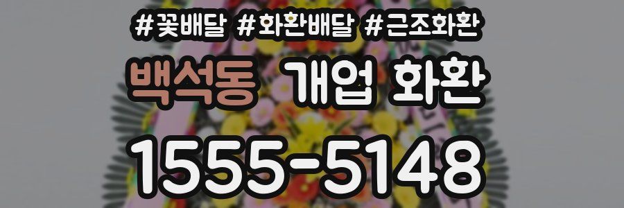 백석동 개업 화환