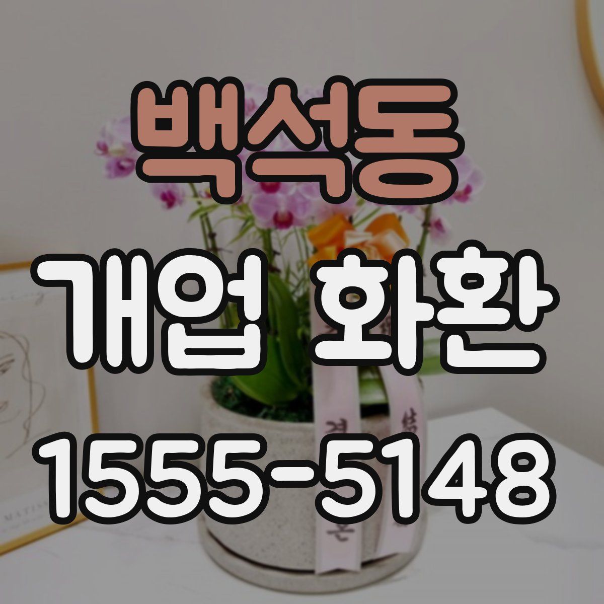 백석동 개업 화환