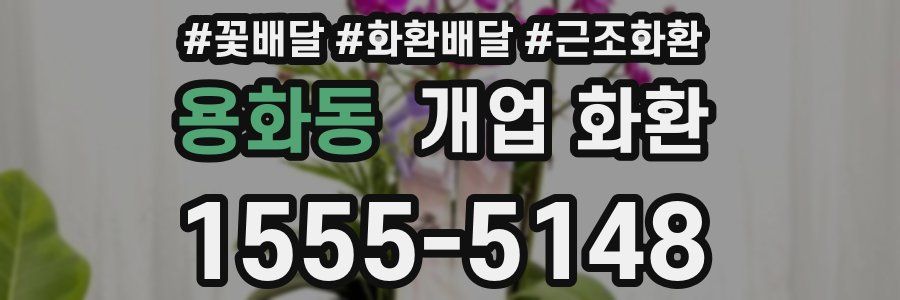 용화동 개업 화환