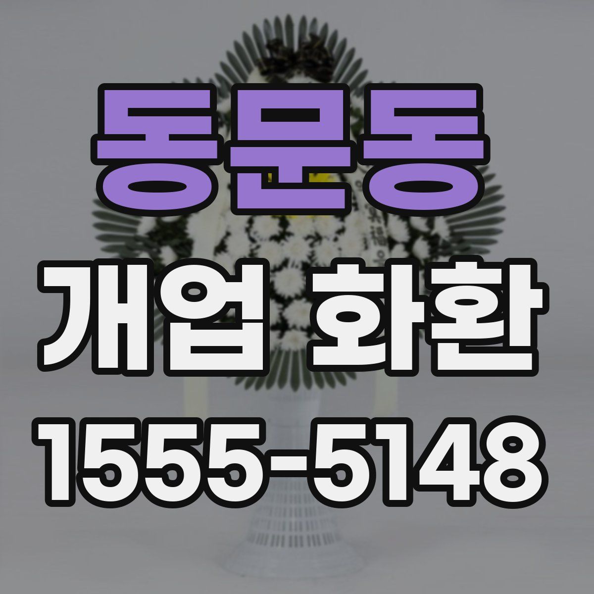 동문동 개업 화환