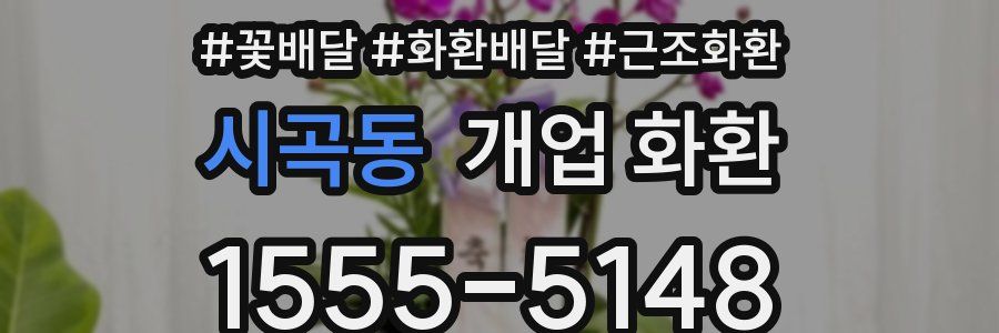 시곡동 개업 화환
