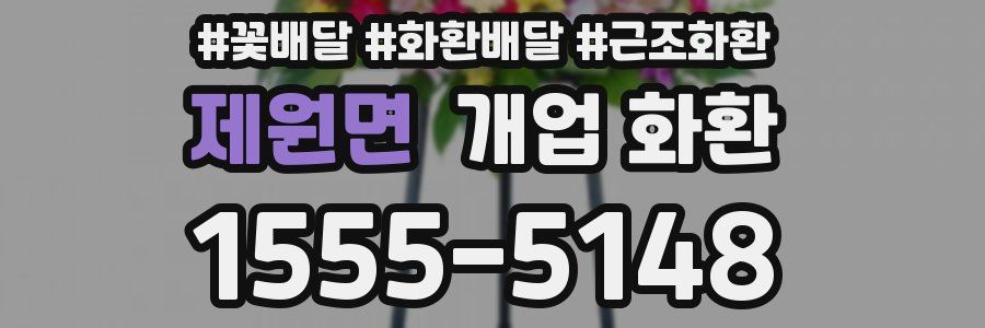 제원면 개업 화환