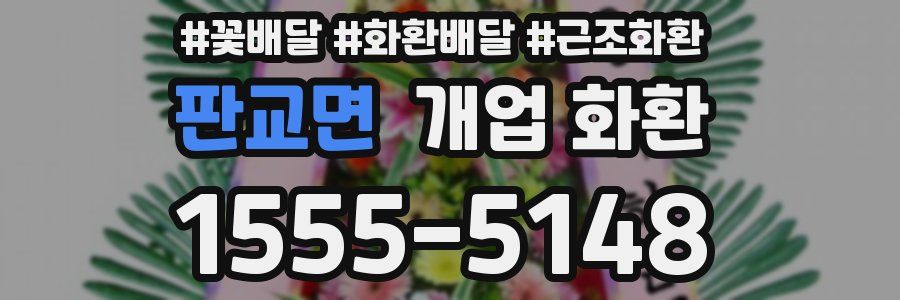 판교면 개업 화환