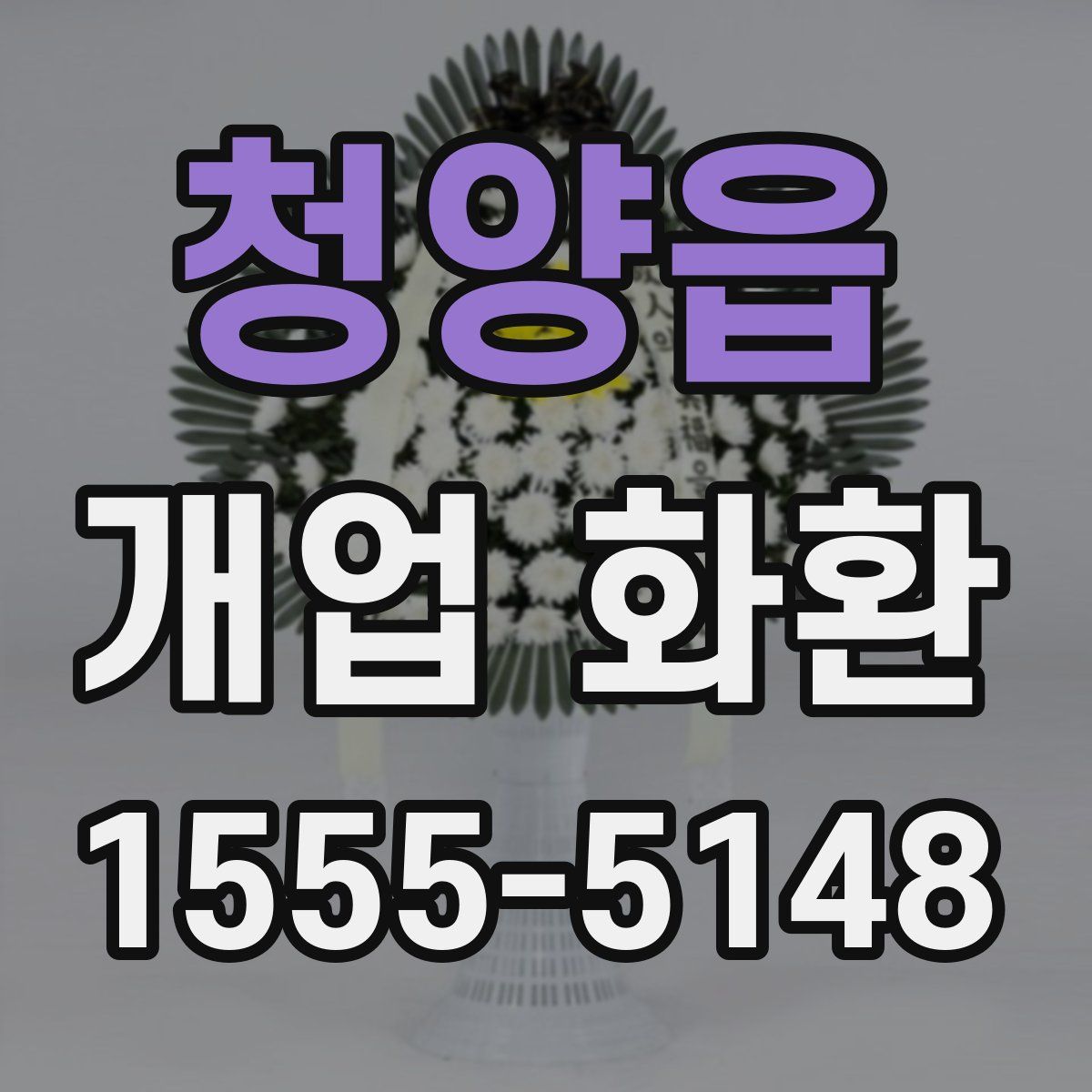 청양읍 개업 화환