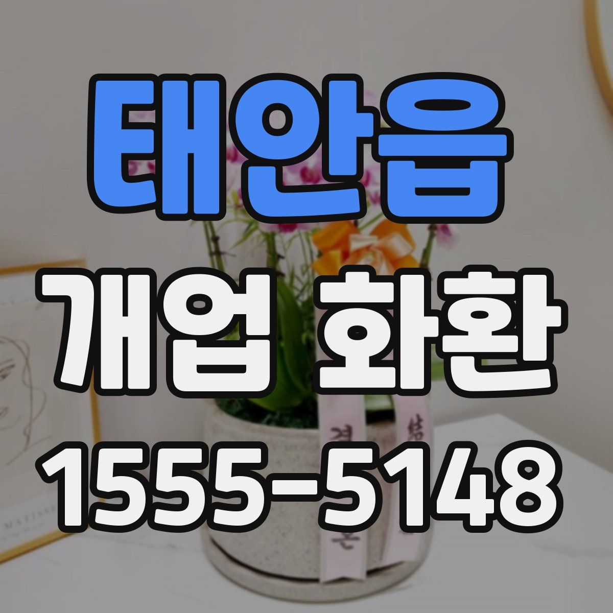 태안읍 개업 화환