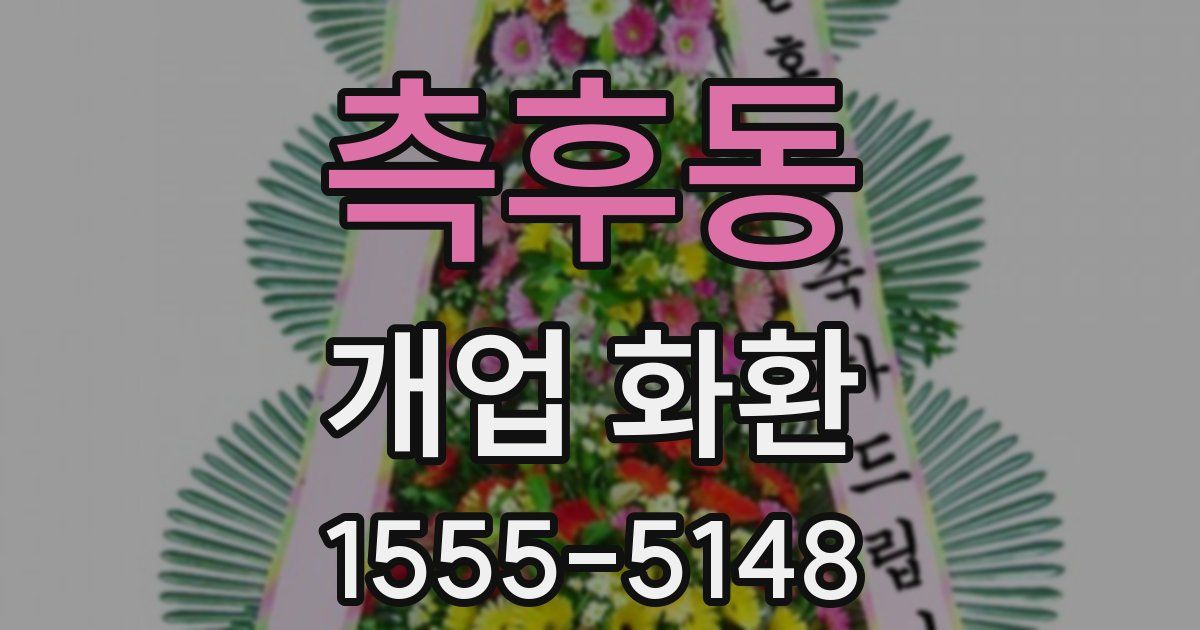 측후동 개업 화환