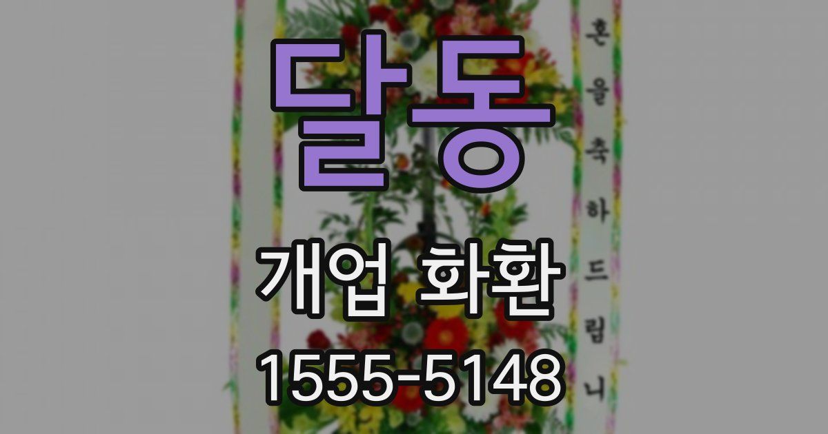 달동 개업 화환