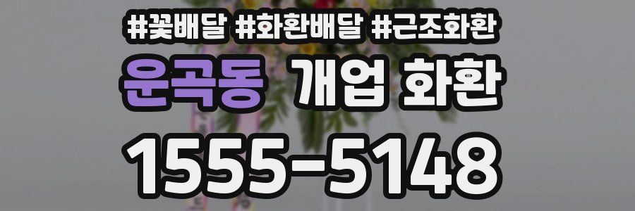 운곡동 개업 화환