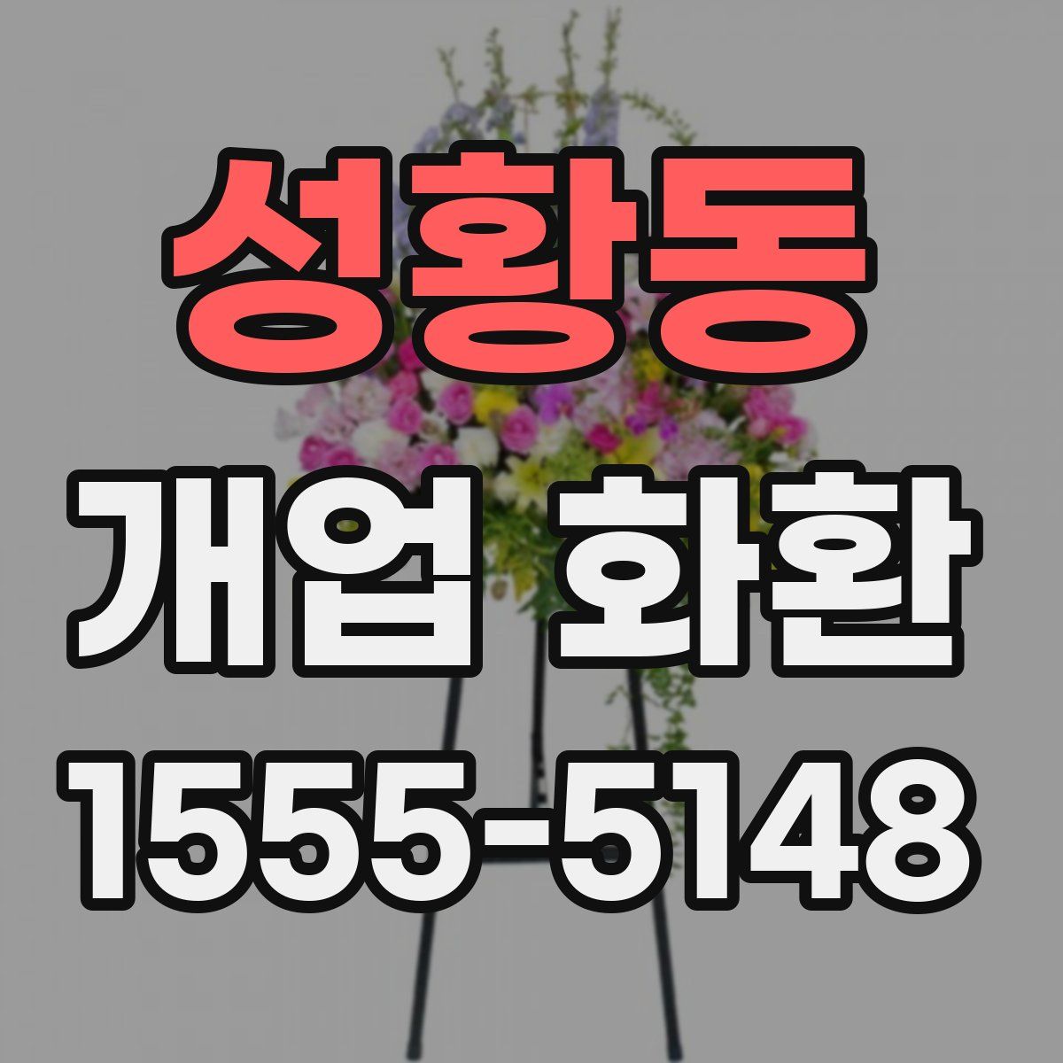 성황동 개업 화환
