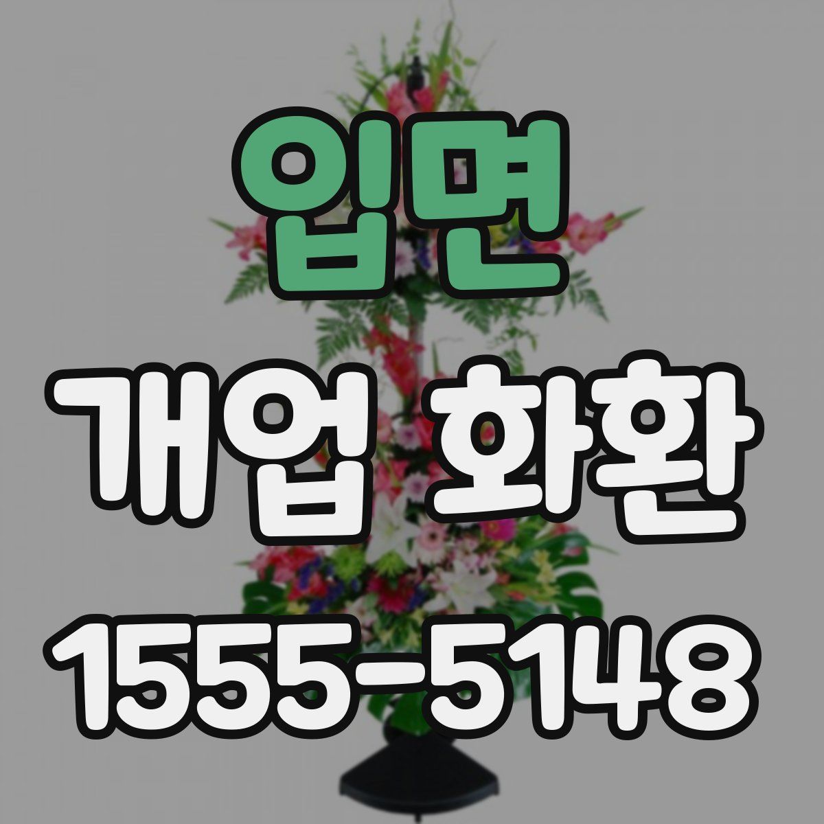 입면 개업 화환