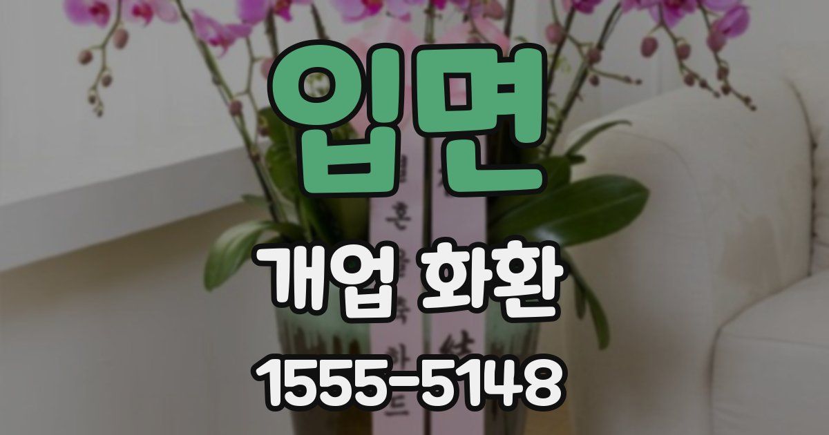 입면 개업 화환