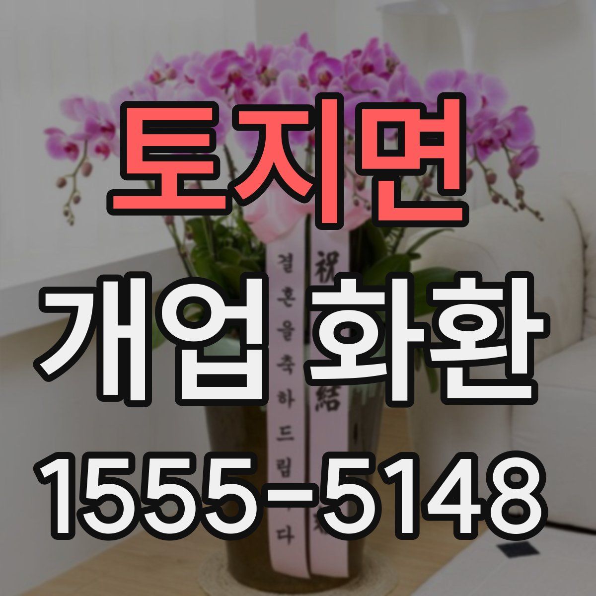 토지면 개업 화환