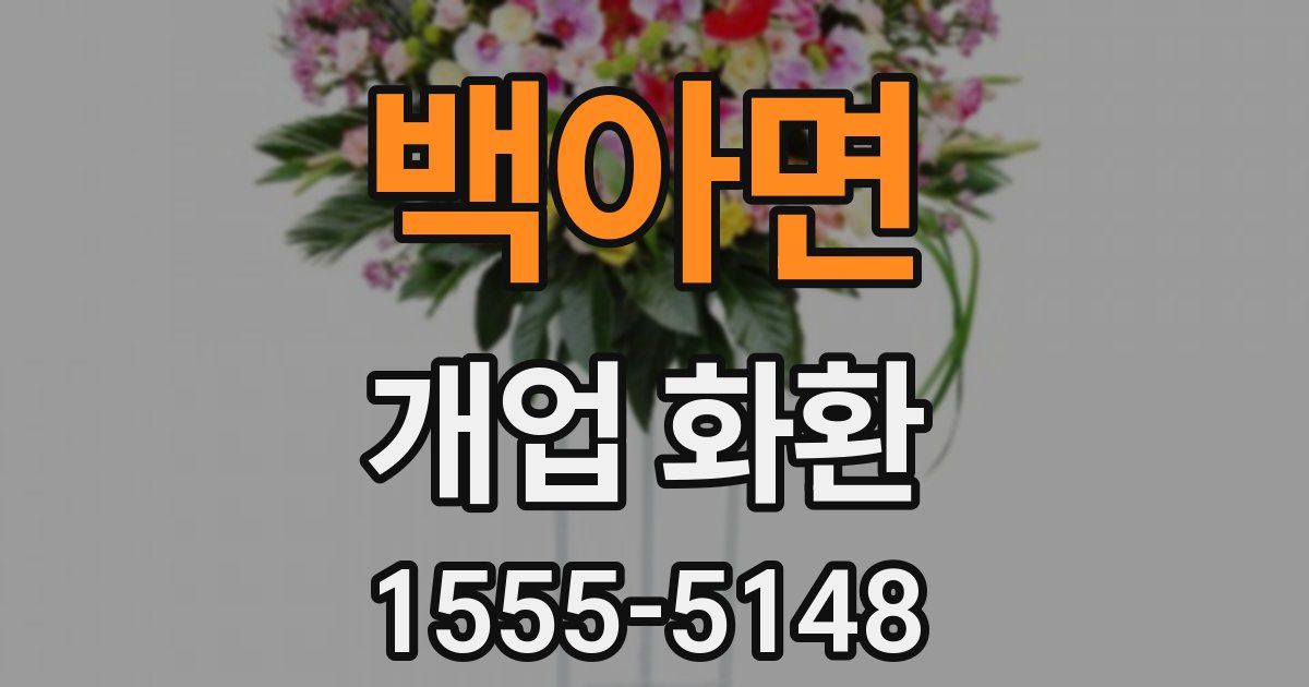 백아면 개업 화환