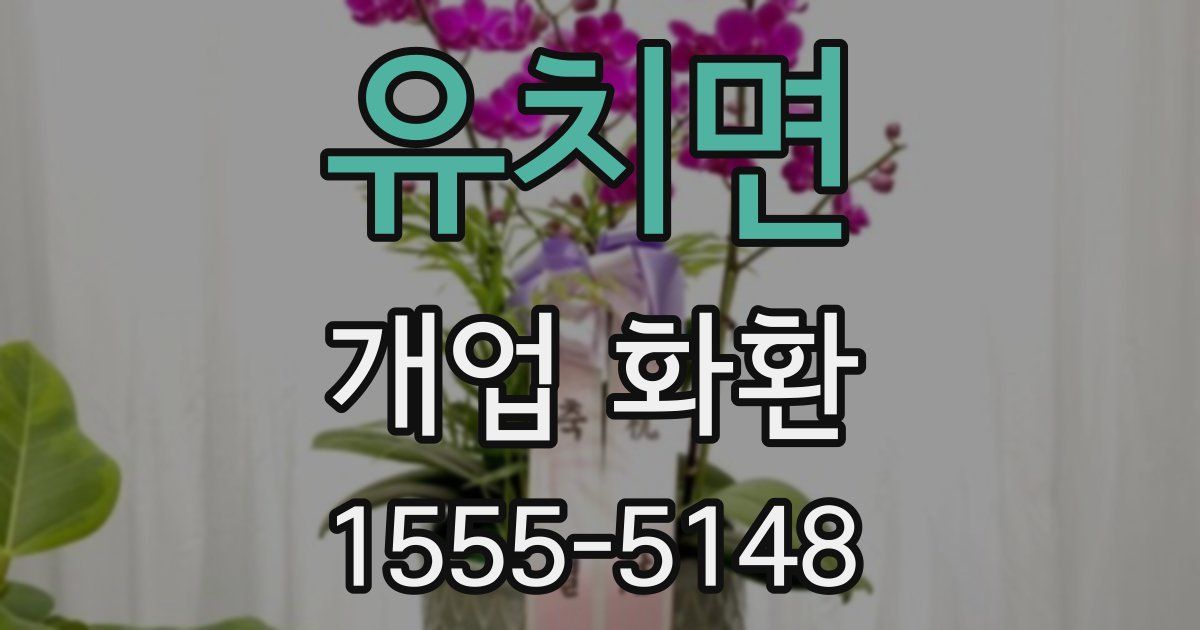 유치면 개업 화환