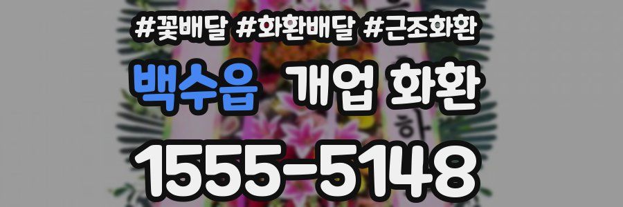 백수읍 개업 화환