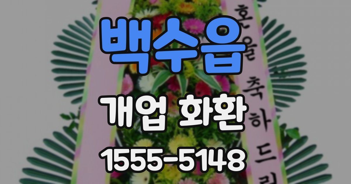 백수읍 개업 화환