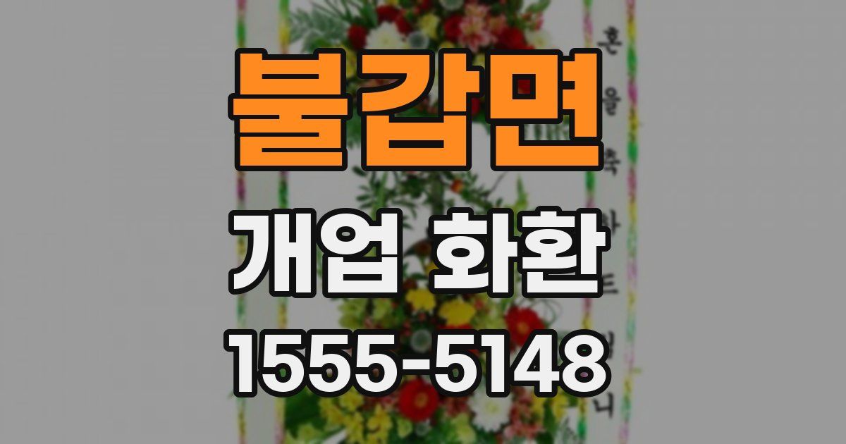 불갑면 개업 화환