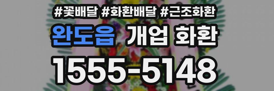 완도읍 개업 화환